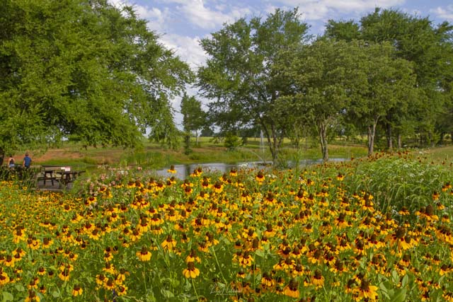 Mineola, Texas
